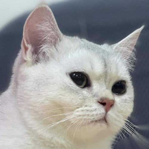 สมาชิกหมายเลข 8710285