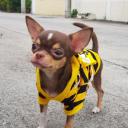 สมาชิกหมายเลข 4120607