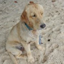 สมาชิกหมายเลข 4543343