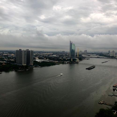 สมาชิกหมายเลข 4886609