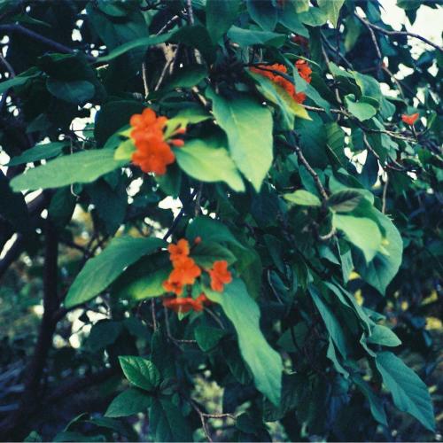 สมาชิกหมายเลข 5725919