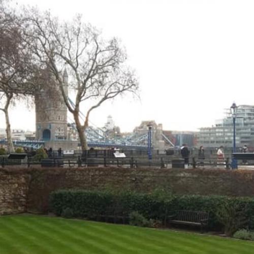 สมาชิกหมายเลข 5726026