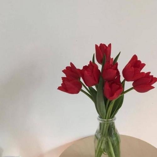 สมาชิกหมายเลข 5907869