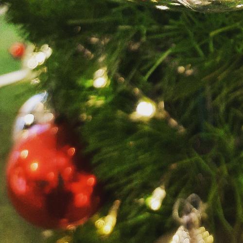 สมาชิกหมายเลข 6310212