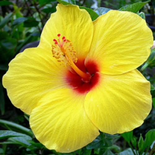 สมาชิกหมายเลข 6310354