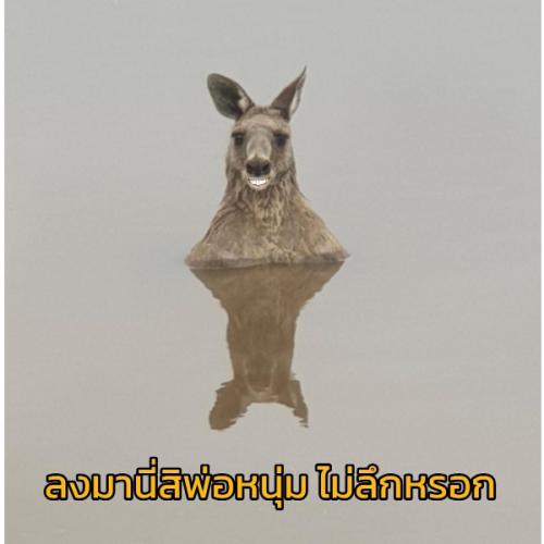 สมาชิกหมายเลข 1748992