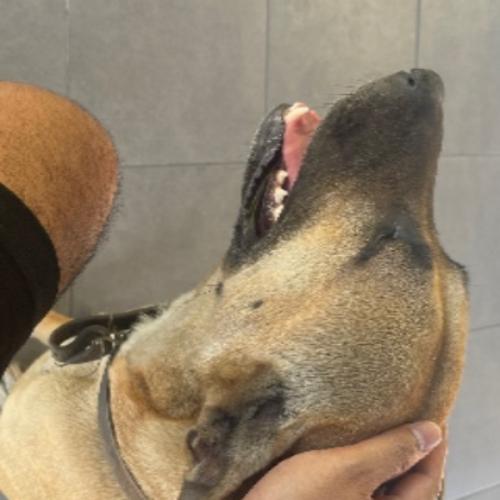 สมาชิกหมายเลข 7754152