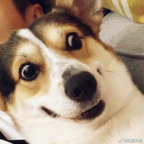 สมาชิกหมายเลข 7754423