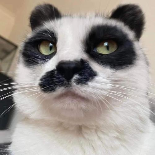 สมาชิกหมายเลข 3590978