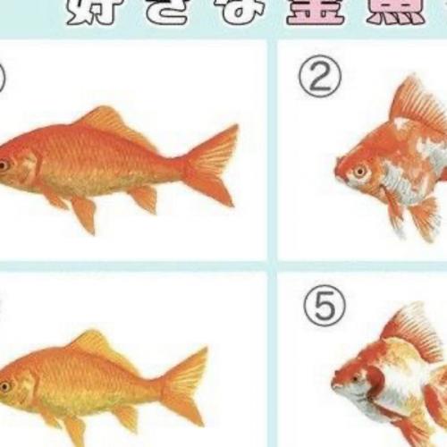 สมาชิกหมายเลข 8526481