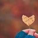 สมาชิกหมายเลข 2779138