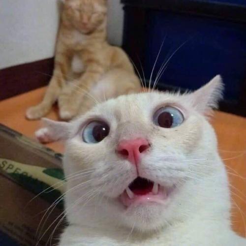 สมาชิกหมายเลข 3062089