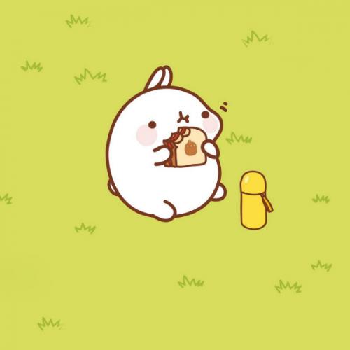 สมาชิกหมายเลข 5277693