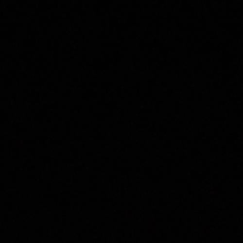 สมาชิกหมายเลข 5281481