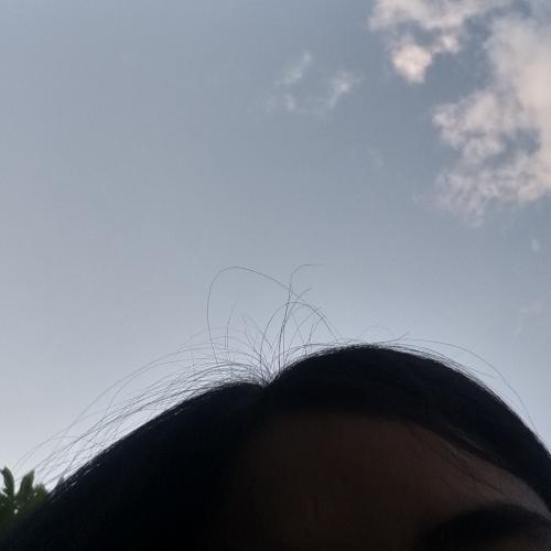 สมาชิกหมายเลข 5281561