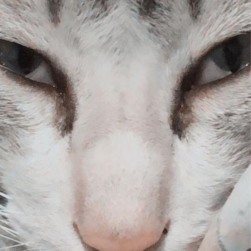 สมาชิกหมายเลข 5726706