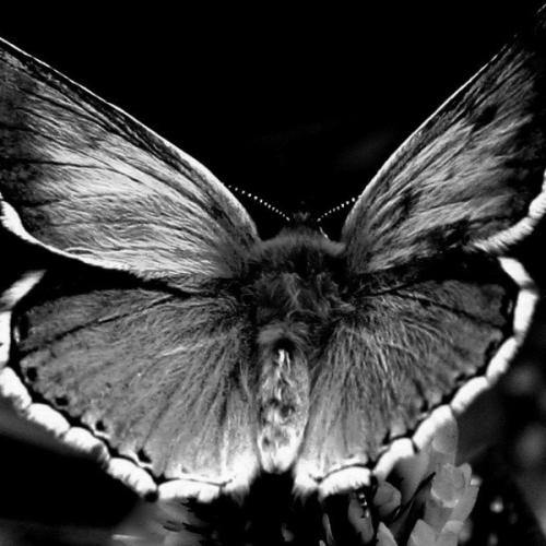 สมาชิกหมายเลข 5726736