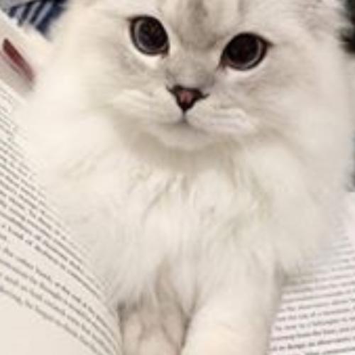 สมาชิกหมายเลข 5726945