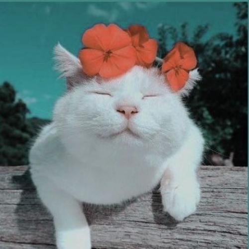 สมาชิกหมายเลข 1078936