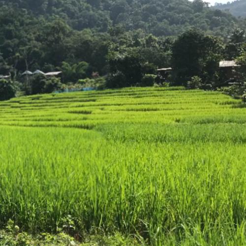 สมาชิกหมายเลข 2853550