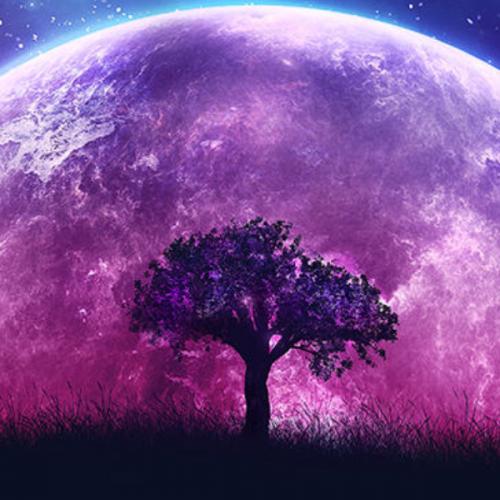 สมาชิกหมายเลข 6311299