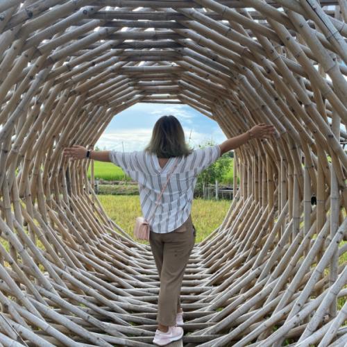 สมาชิกหมายเลข 4162209