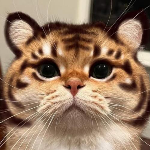 สมาชิกหมายเลข 6954663