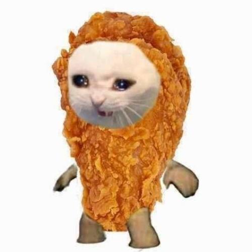 สมาชิกหมายเลข 6990534