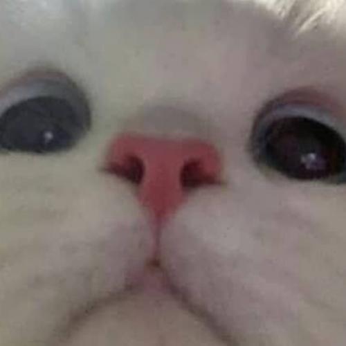 สมาชิกหมายเลข 6990553