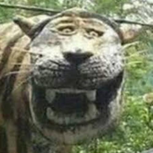 สมาชิกหมายเลข 2208730