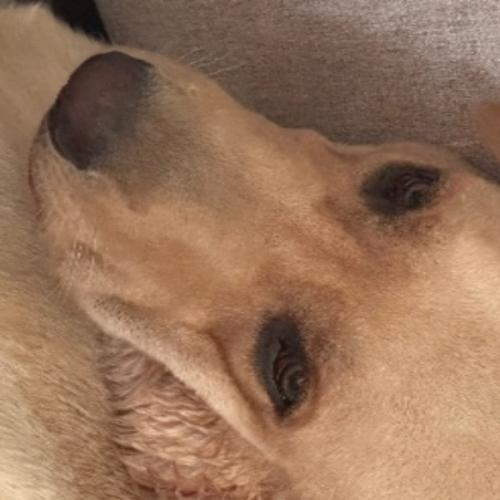 สมาชิกหมายเลข 7834839