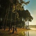 สมาชิกหมายเลข 3524654