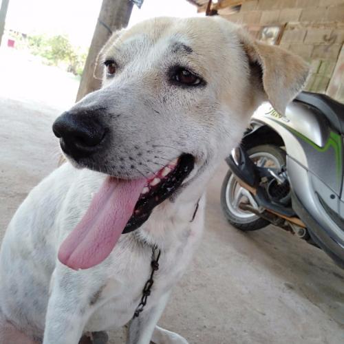 สมาชิกหมายเลข 5281731