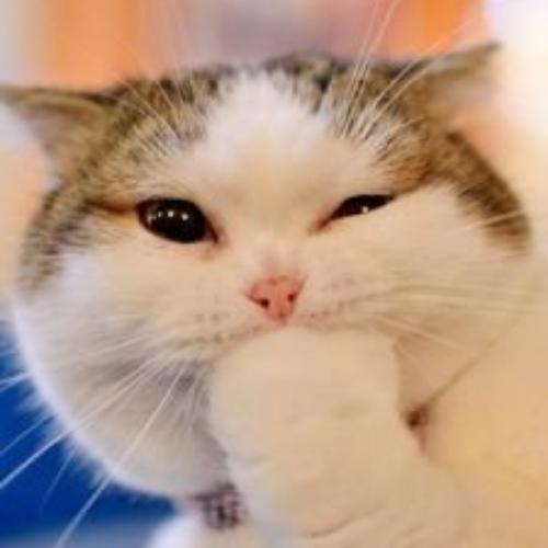 สมาชิกหมายเลข 5727177