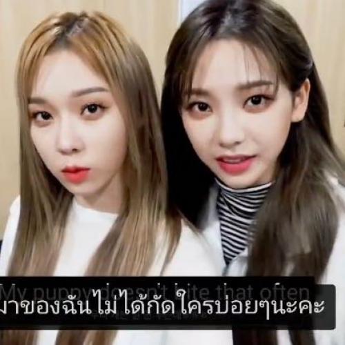 สมาชิกหมายเลข 6262982