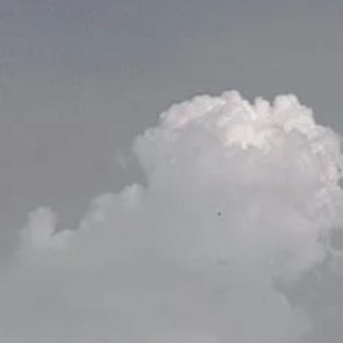 สมาชิกหมายเลข 6991203