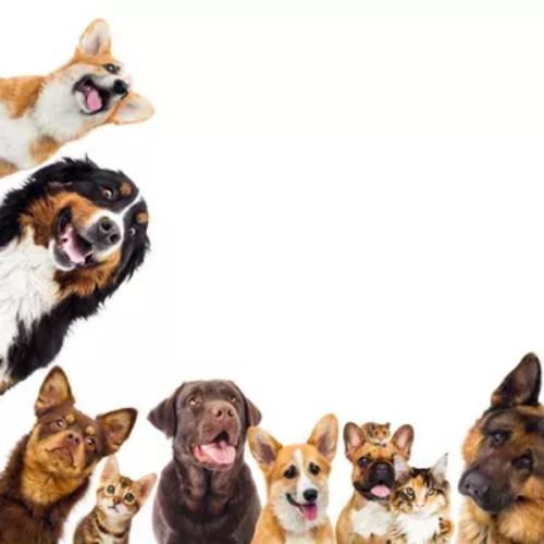 สมาชิกหมายเลข 7755142