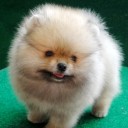 สมาชิกหมายเลข 3658519