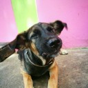 สมาชิกหมายเลข 3658883