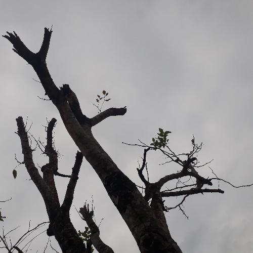 สมาชิกหมายเลข 4862854