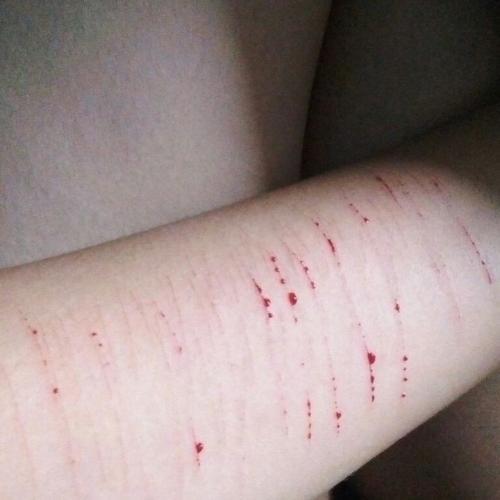 สมาชิกหมายเลข 4887254