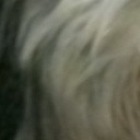 สมาชิกหมายเลข 4887445