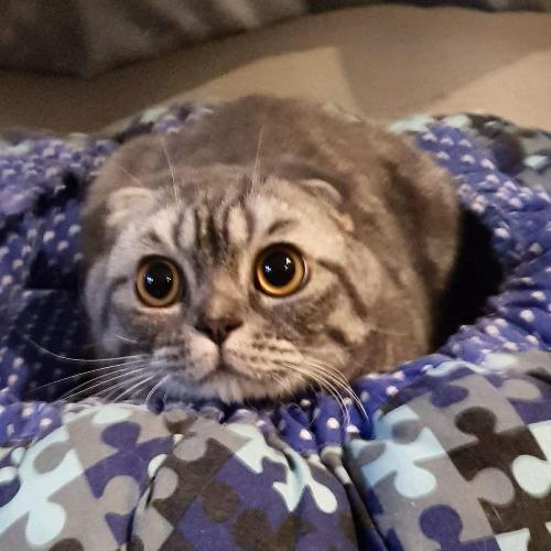 สมาชิกหมายเลข 4887545