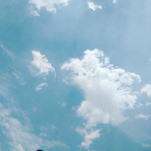 สมาชิกหมายเลข 5282329