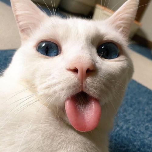 สมาชิกหมายเลข 5388633