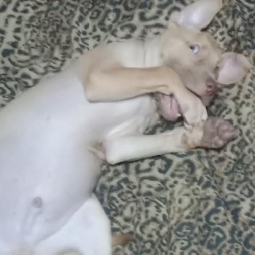 สมาชิกหมายเลข 5728112