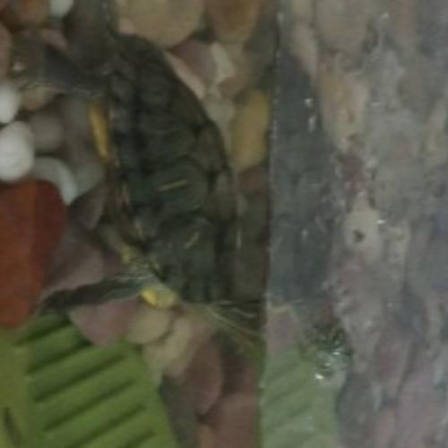 สมาชิกหมายเลข 3940209