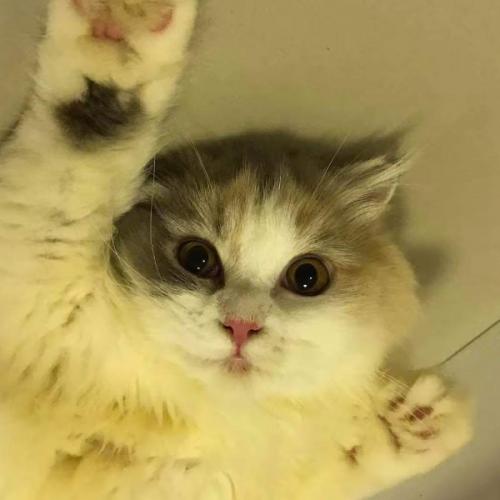 สมาชิกหมายเลข 6312180