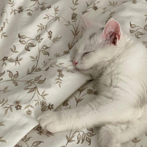 สมาชิกหมายเลข 7756414