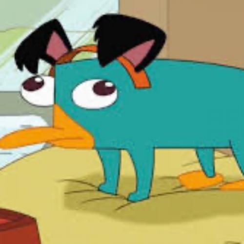 สมาชิกหมายเลข 8714454